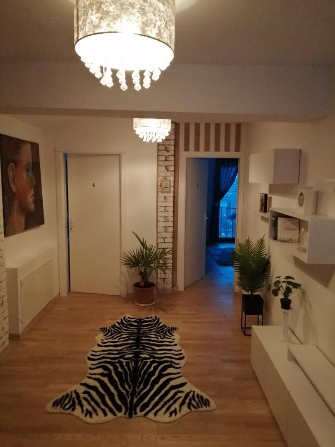 Pensiunea Timis Борша Экстерьер фото