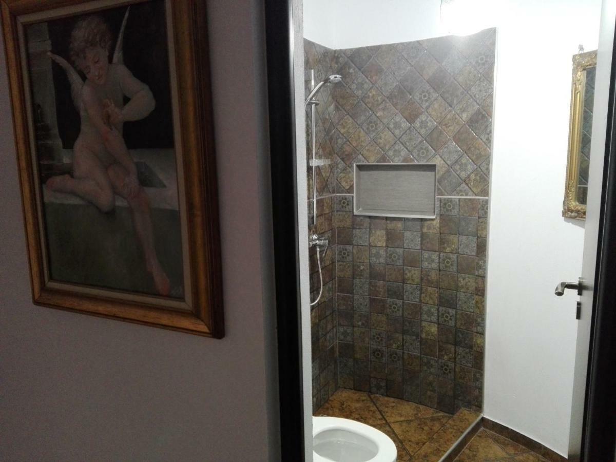 Pensiunea Timis Борша Экстерьер фото